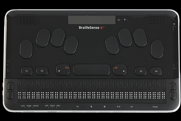 Braillesense 6