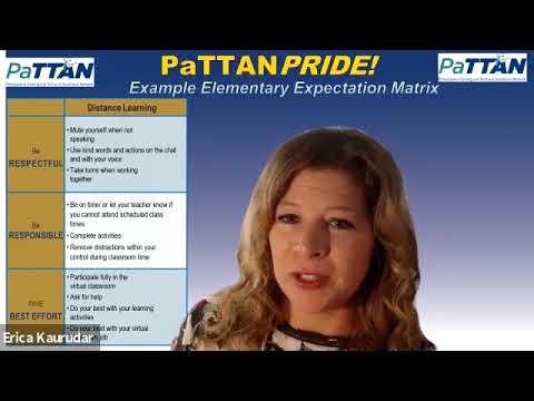 PaTTAN Behavior Buttons – Virtual Tips