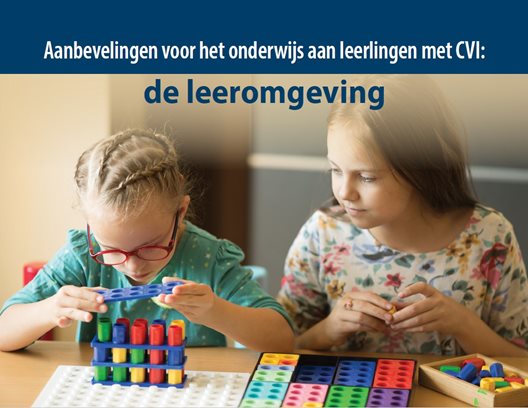 Considerations for Educating Students With CVI: The Learning Environment (Dutch)